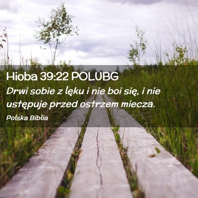 Picture 02 - Hioba 39:22 POLUBG - Drwi sobie z lęku i nie boi się, i nie - Bible Verse Picture