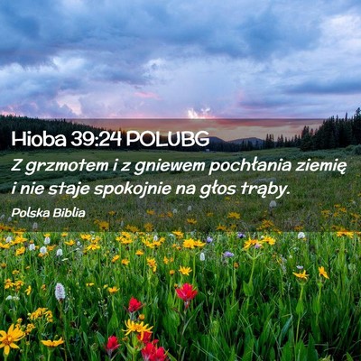 Picture 02 - Hioba 39:24 POLUBG - Z grzmotem i z gniewem pochłania ziemię i nie - Bible Verse Picture