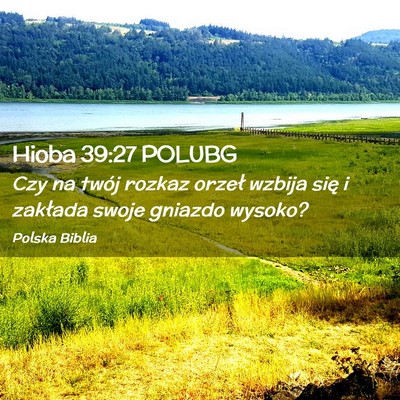 Picture 02 - Hioba 39:27 POLUBG - Czy na twój rozkaz orzeł wzbija się i zakłada - Bible Verse Picture