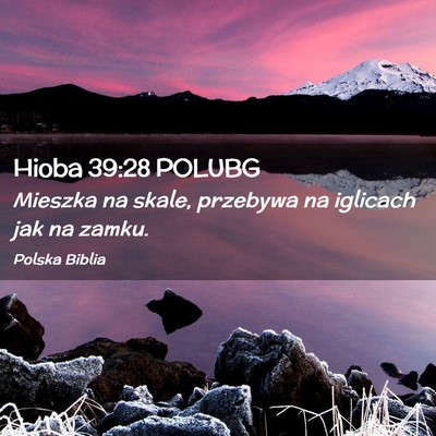Picture 02 - Hioba 39:28 POLUBG - Mieszka na skale, przebywa na iglicach jak na - Bible Verse Picture