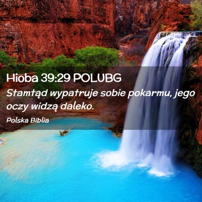 Picture 02 - Hioba 39:29 POLUBG - Stamtąd wypatruje sobie pokarmu, jego oczy - Bible Verse Picture