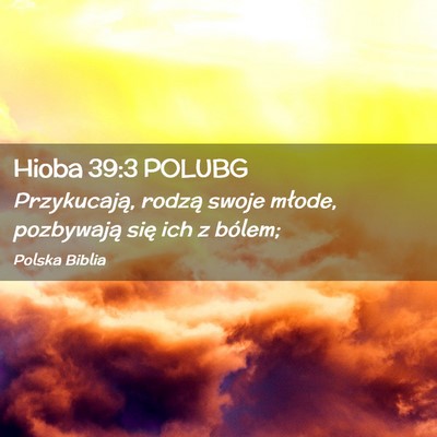 Picture 02 - Hioba 39:3 POLUBG - Przykucają, rodzą swoje młode, pozbywają się - Bible Verse Picture