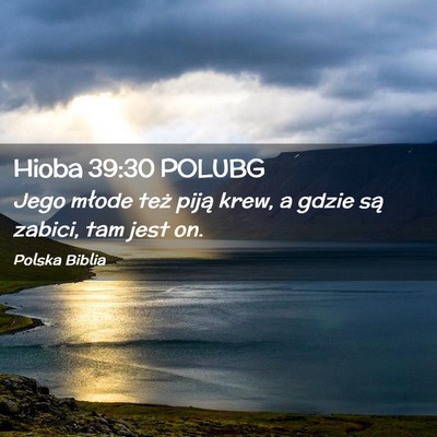 Picture 02 - Hioba 39:30 POLUBG - Jego młode też piją krew, a gdzie są zabici, - Bible Verse Picture