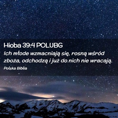 Picture 02 - Hioba 39:4 POLUBG - Ich młode wzmacniają się, rosną wśród - Bible Verse Picture