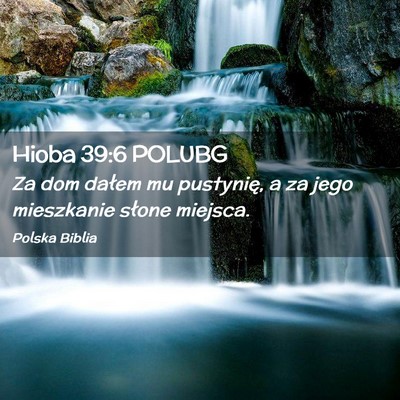 Picture 02 - Hioba 39:6 POLUBG - Za dom dałem mu pustynię, a za jego mieszkanie - Bible Verse Picture