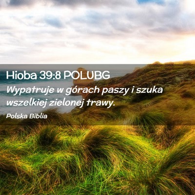 Picture 02 - Hioba 39:8 POLUBG - Wypatruje w górach paszy i szuka wszelkiej - Bible Verse Picture