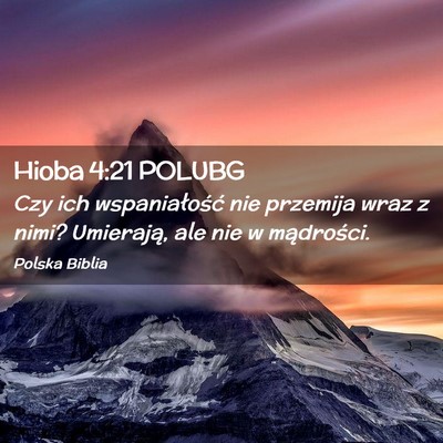 Picture 02 - Hioba 4:21 POLUBG - Czy ich wspaniałość nie przemija wraz z nimi? - Bible Verse Picture
