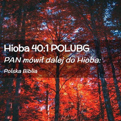 Picture 02 - Hioba 40:1 POLUBG - PAN mówił dalej do - Bible Verse Picture