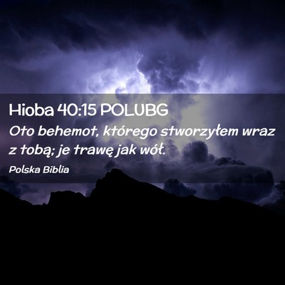 Picture 02 - Hioba 40:15 POLUBG - Oto behemot, którego stworzyłem wraz z tobą; - Bible Verse Picture