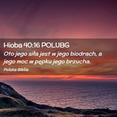 Picture 02 - Hioba 40:16 POLUBG - Oto jego siła jest w jego biodrach, a jego moc w - Bible Verse Picture