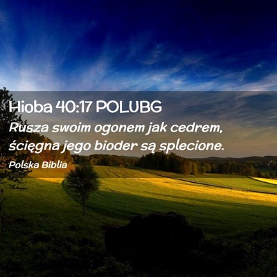 Picture 02 - Hioba 40:17 POLUBG - Rusza swoim ogonem jak cedrem, ścięgna jego - Bible Verse Picture