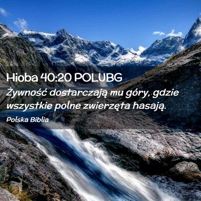 Picture 02 - Hioba 40:20 POLUBG - Żywność dostarczają mu góry, gdzie wszystkie - Bible Verse Picture