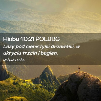 Picture 02 - Hioba 40:21 POLUBG - Leży pod cienistymi drzewami, w ukryciu trzcin i - Bible Verse Picture