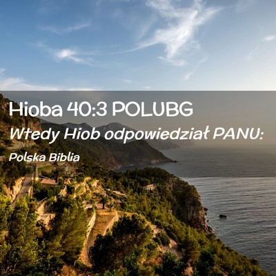 Picture 02 - Hioba 40:3 POLUBG - Wtedy Hiob odpowiedział - Bible Verse Picture