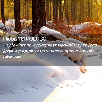 Picture 02 - Hioba 41:1 POLUBG - Czy lewiatana wyciągniesz wędką? Czy za jego - Bible Verse Picture
