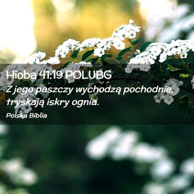 Picture 02 - Hioba 41:19 POLUBG - Z jego paszczy wychodzą pochodnie, tryskają - Bible Verse Picture