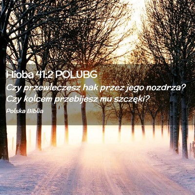 Picture 02 - Hioba 41:2 POLUBG - Czy przewleczesz hak przez jego nozdrza? Czy - Bible Verse Picture