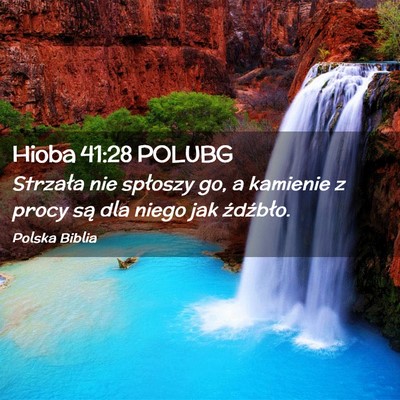 Picture 02 - Hioba 41:28 POLUBG - Strzała nie spłoszy go, a kamienie z procy są - Bible Verse Picture