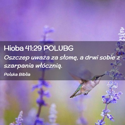 Picture 02 - Hioba 41:29 POLUBG - Oszczep uważa za słomę, a drwi sobie z - Bible Verse Picture