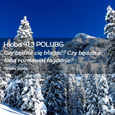 Picture 02 - Hioba 41:3 POLUBG - Czy będzie cię błagać? Czy będzie z tobą - Bible Verse Picture