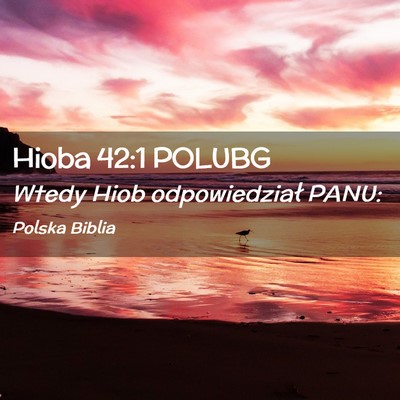 Picture 02 - Hioba 42:1 POLUBG - Wtedy Hiob odpowiedział - Bible Verse Picture