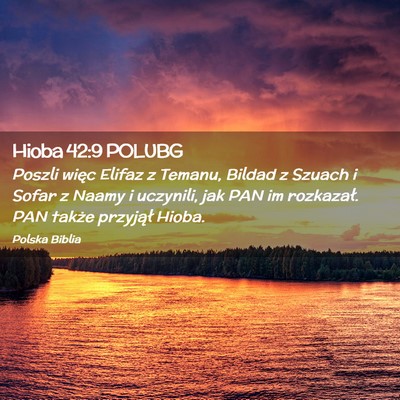 Picture 02 - Hioba 42:9 POLUBG - Poszli więc Elifaz z Temanu, Bildad z Szuach i - Bible Verse Picture