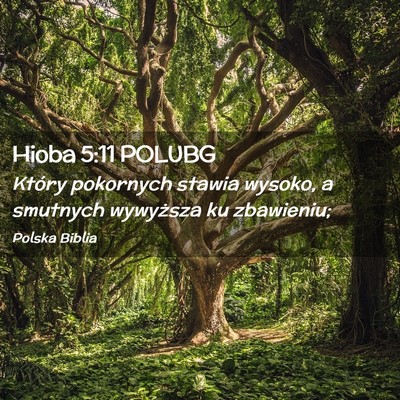 Picture 02 - Hioba 5:11 POLUBG - Który pokornych stawia wysoko, a smutnych - Bible Verse Picture