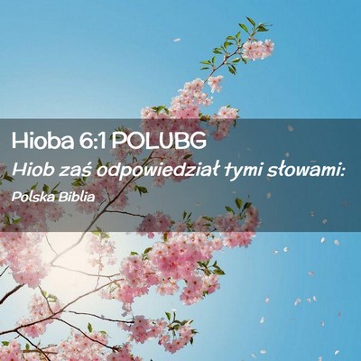 Picture 02 - Hioba 6:1 POLUBG - Hiob zaś odpowiedział tymi - Bible Verse Picture