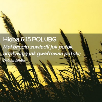 Picture 02 - Hioba 6:15 POLUBG - Moi bracia zawiedli jak potok, odpływają jak - Bible Verse Picture