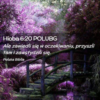 Picture 02 - Hioba 6:20 POLUBG - Ale zawiedli się w oczekiwaniu, przyszli tam i - Bible Verse Picture