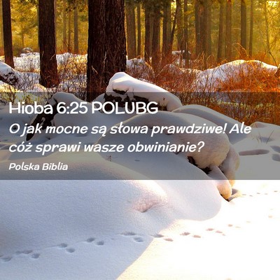 Picture 02 - Hioba 6:25 POLUBG - O jak mocne są słowa prawdziwe! Ale cóż - Bible Verse Picture
