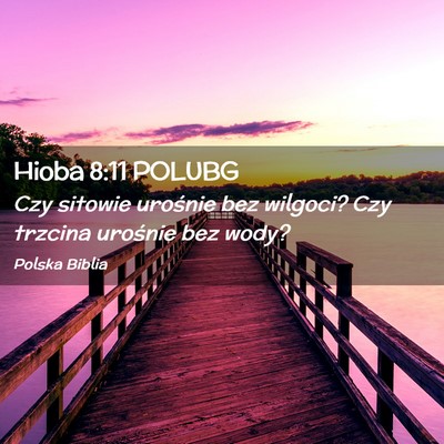 Picture 02 - Hioba 8:11 POLUBG - Czy sitowie urośnie bez wilgoci? Czy trzcina - Bible Verse Picture