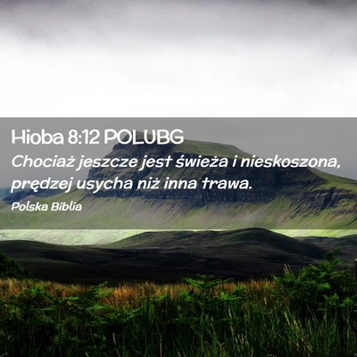 Picture 02 - Hioba 8:12 POLUBG - Chociaż jeszcze jest świeża i nieskoszona, - Bible Verse Picture