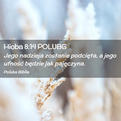 Picture 02 - Hioba 8:14 POLUBG - Jego nadzieja zostanie podcięta, a jego ufność - Bible Verse Picture