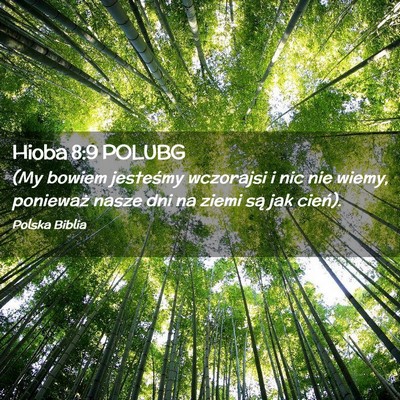 Picture 02 - Hioba 8:9 POLUBG - (My bowiem jesteśmy wczorajsi i nic nie wiemy, - Bible Verse Picture
