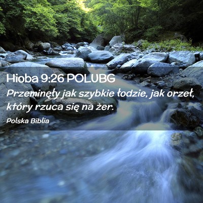 Picture 02 - Hioba 9:26 POLUBG - Przeminęły jak szybkie łodzie, jak orzeł, - Bible Verse Picture