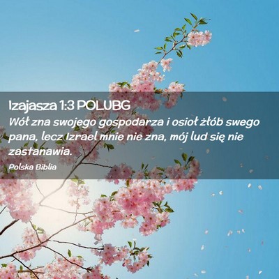Picture 02 - Izajasza 1:3 POLUBG - Wół zna swojego gospodarza i osioł żłób - Bible Verse Picture