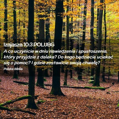 Picture 02 - Izajasza 10:3 POLUBG - A co uczynicie w dniu nawiedzenia i spustoszenia, - Bible Verse Picture