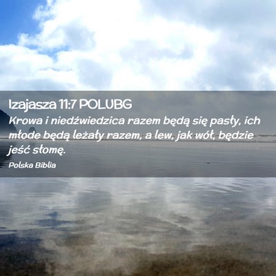 Picture 02 - Izajasza 11:7 POLUBG - Krowa i niedźwiedzica razem będą się pasły, - Bible Verse Picture