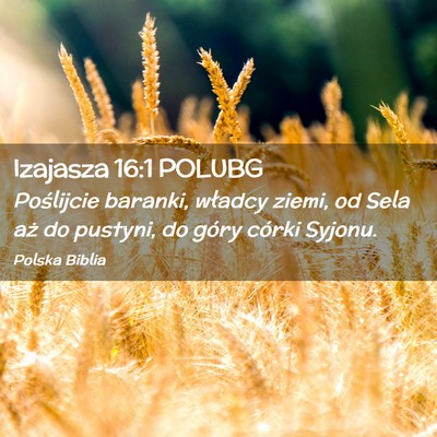 Picture 02 - Izajasza 16:1 POLUBG - Poślijcie baranki, władcy ziemi, od Sela aż do - Bible Verse Picture
