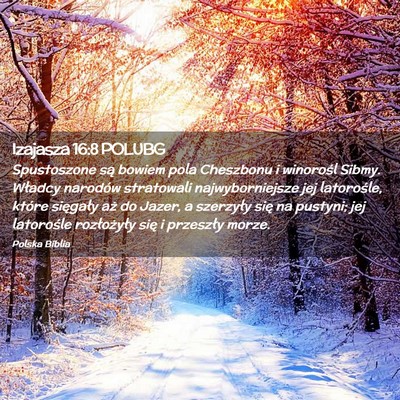Picture 02 - Izajasza 16:8 POLUBG - Spustoszone są bowiem pola Cheszbonu i winorośl - Bible Verse Picture