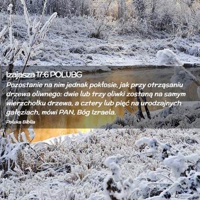 Picture 02 - Izajasza 17:6 POLUBG - Pozostanie na nim jednak pokłosie, jak przy - Bible Verse Picture