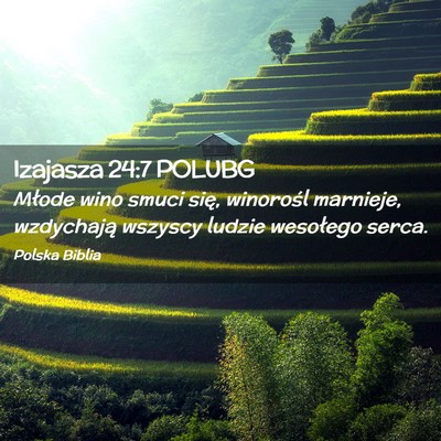 Picture 02 - Izajasza 24:7 POLUBG - Młode wino smuci się, winorośl marnieje, - Bible Verse Picture