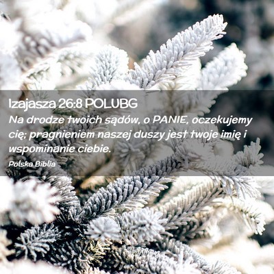 Picture 02 - Izajasza 26:8 POLUBG - Na drodze twoich sądów, o PANIE, oczekujemy - Bible Verse Picture