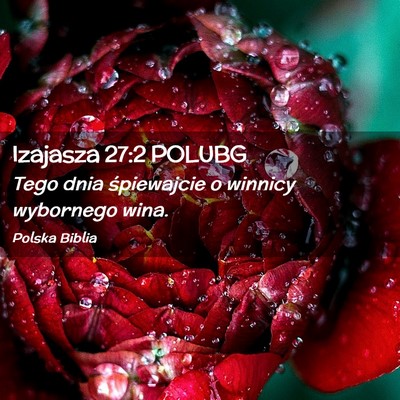 Picture 02 - Izajasza 27:2 POLUBG - Tego dnia śpiewajcie o winnicy wybornego - Bible Verse Picture