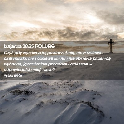 Picture 02 - Izajasza 28:25 POLUBG - Czyż gdy wyrówna jej powierzchnię, nie - Bible Verse Picture