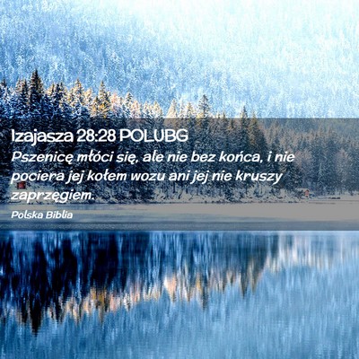 Picture 02 - Izajasza 28:28 POLUBG - Pszenicę młóci się, ale nie bez końca, i nie - Bible Verse Picture