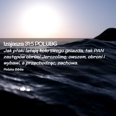 Picture 02 - Izajasza 31:5 POLUBG - Jak ptaki latają koło swego gniazda, tak PAN - Bible Verse Picture