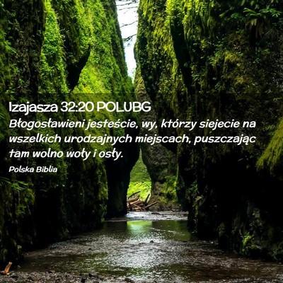 Picture 02 - Izajasza 32:20 POLUBG - Błogosławieni jesteście, wy, którzy siejecie - Bible Verse Picture
