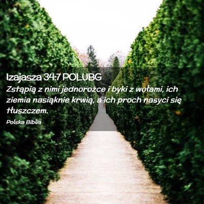 Picture 02 - Izajasza 34:7 POLUBG - Zstąpią z nimi jednorożce i byki z wołami, - Bible Verse Picture